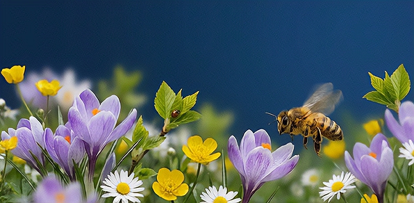 Поздравляем с Днем Весны и Труда!